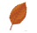 autumn_leaf.gif